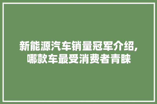 新能源汽车销量冠军介绍,哪款车最受消费者青睐