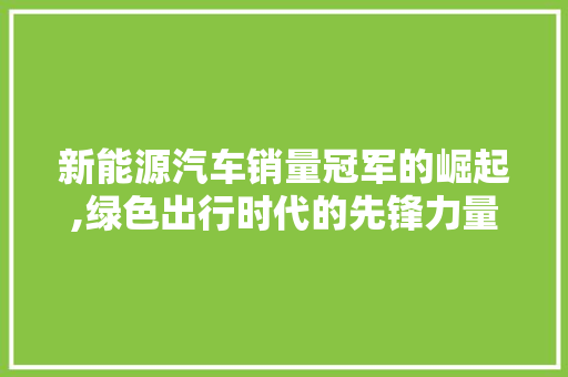 新能源汽车销量冠军的崛起,绿色出行时代的先锋力量