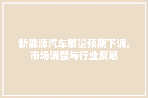 新能源汽车销量预期下调,市场调整与行业反思
