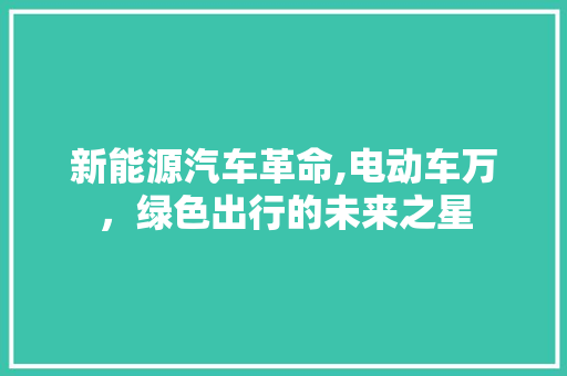 新能源汽车革命,电动车万，绿色出行的未来之星