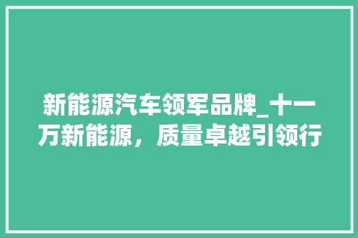 新能源汽车领军品牌_十一万新能源，质量卓越引领行业发展