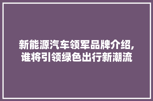 新能源汽车领军品牌介绍,谁将引领绿色出行新潮流