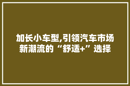 加长小车型,引领汽车市场新潮流的“舒适+”选择