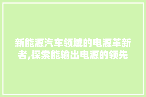 新能源汽车领域的电源革新者,探索能输出电源的领先品牌