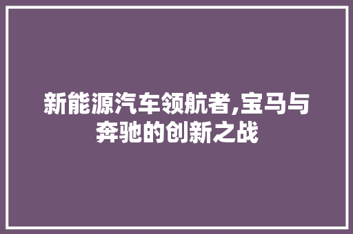 新能源汽车领航者,宝马与奔驰的创新之战