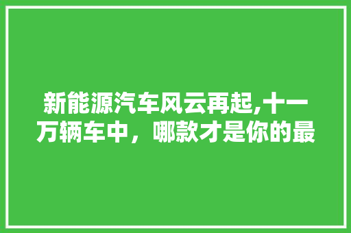 新能源汽车风云再起,十一万辆车中，哪款才是你的最佳选择