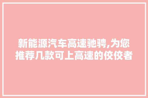 新能源汽车高速驰骋,为您推荐几款可上高速的佼佼者