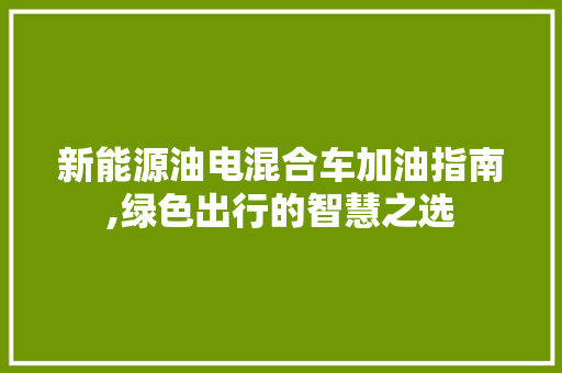 新能源油电混合车加油指南,绿色出行的智慧之选