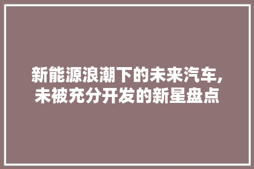 新能源浪潮下的未来汽车,未被充分开发的新星盘点