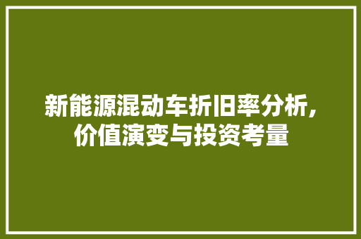新能源混动车折旧率分析,价值演变与投资考量