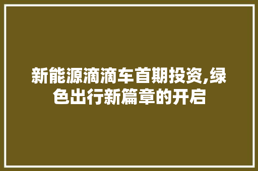 新能源滴滴车首期投资,绿色出行新篇章的开启
