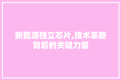 新能源独立芯片,技术革新背后的关键力量
