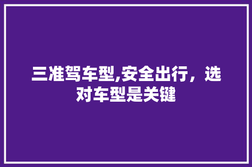三准驾车型,安全出行，选对车型是关键