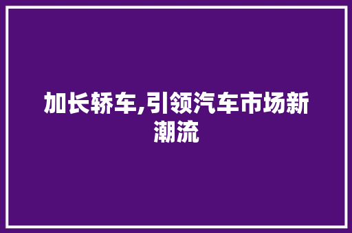 加长轿车,引领汽车市场新潮流
