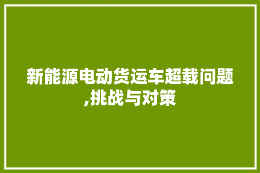 新能源电动货运车超载问题,挑战与对策