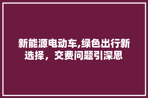 新能源电动车,绿色出行新选择，交费问题引深思