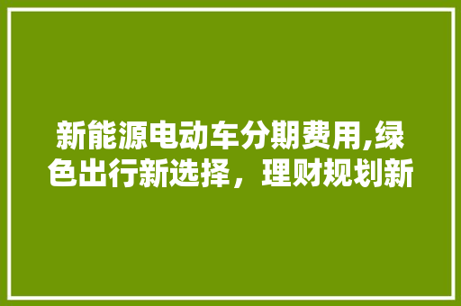 新能源电动车分期费用,绿色出行新选择，理财规划新亮点 新款车型
