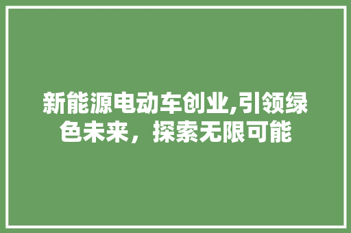 新能源电动车创业,引领绿色未来，探索无限可能 新能源汽车