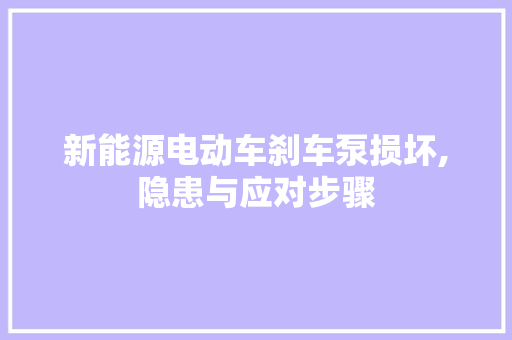 新能源电动车刹车泵损坏,隐患与应对步骤