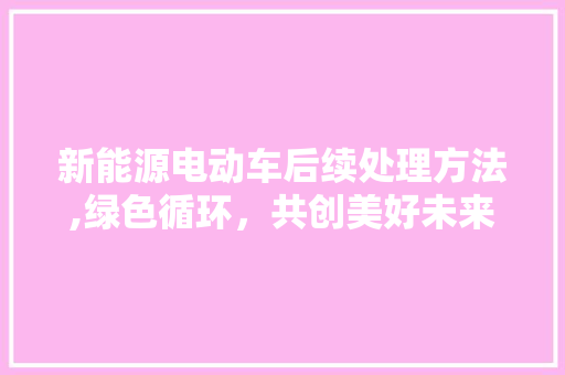 新能源电动车后续处理方法,绿色循环，共创美好未来