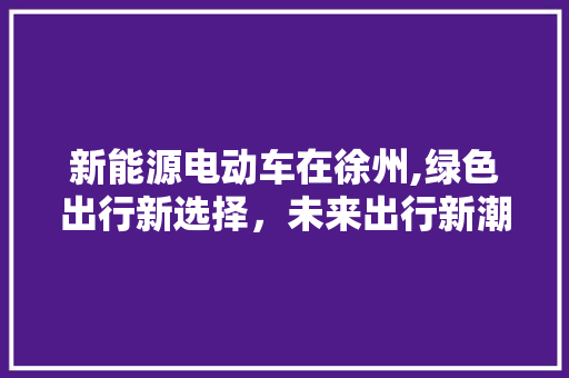 新能源电动车在徐州,绿色出行新选择，未来出行新潮流