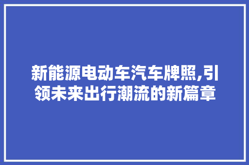 新能源电动车汽车牌照,引领未来出行潮流的新篇章 底盘配件
