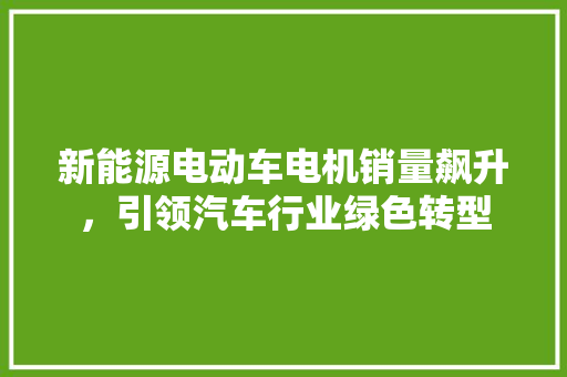 新能源电动车电机销量飙升，引领汽车行业绿色转型