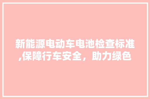 新能源电动车电池检查标准,保障行车安全，助力绿色出行