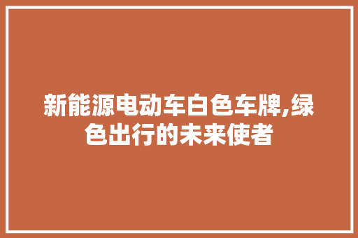 新能源电动车白色车牌,绿色出行的未来使者