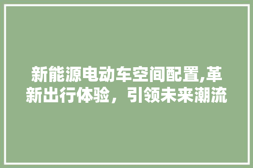 新能源电动车空间配置,革新出行体验，引领未来潮流 蓄电池配件
