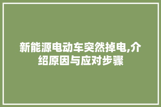 新能源电动车突然掉电,介绍原因与应对步骤 底盘配件