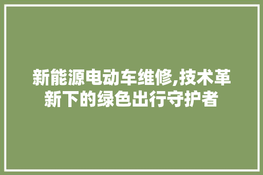 新能源电动车维修,技术革新下的绿色出行守护者