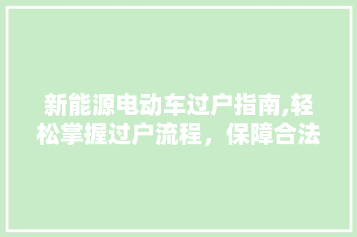 新能源电动车过户指南,轻松掌握过户流程，保障合法权益 车身配件