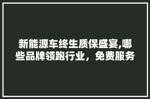 新能源车终生质保盛宴,哪些品牌领跑行业，免费服务惠及车主