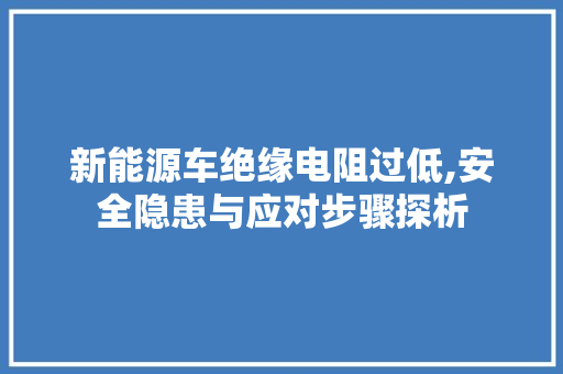 新能源车绝缘电阻过低,安全隐患与应对步骤探析