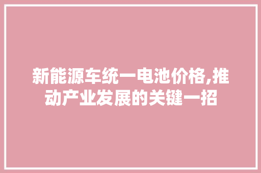 新能源车统一电池价格,推动产业发展的关键一招
