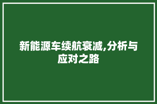 新能源车续航衰减,分析与应对之路