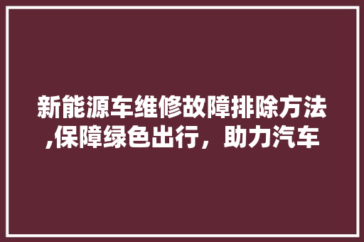 新能源车维修故障排除方法,保障绿色出行，助力汽车产业发展 车身配件