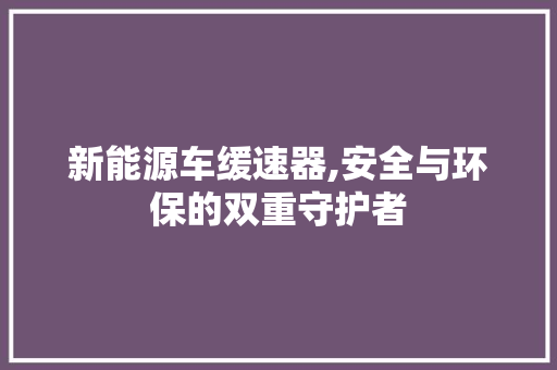 新能源车缓速器,安全与环保的双重守护者