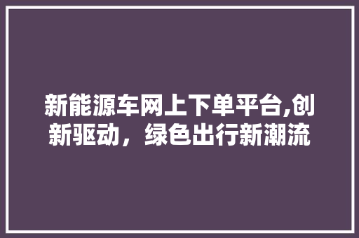 新能源车网上下单平台,创新驱动，绿色出行新潮流