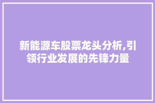 新能源车股票龙头分析,引领行业发展的先锋力量