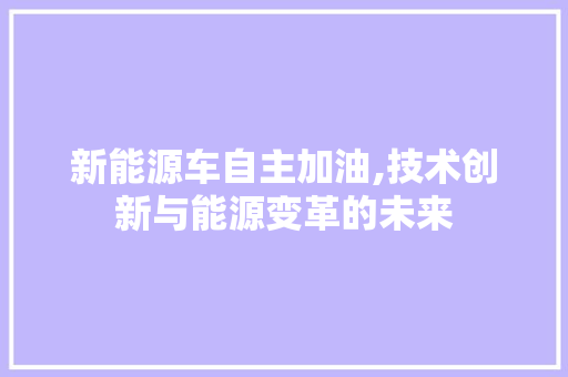 新能源车自主加油,技术创新与能源变革的未来