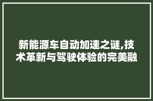 新能源车自动加速之谜,技术革新与驾驶体验的完美融合