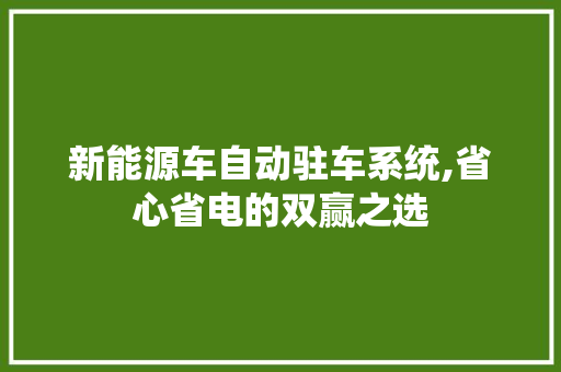 新能源车自动驻车系统,省心省电的双赢之选