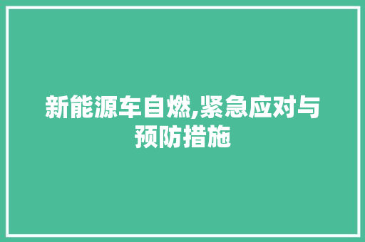 新能源车自燃,紧急应对与预防措施