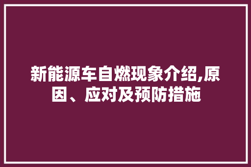 新能源车自燃现象介绍,原因、应对及预防措施
