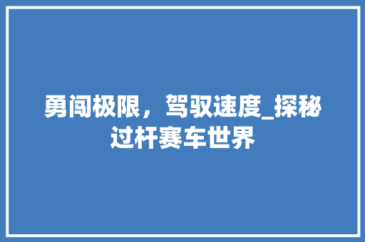 勇闯极限，驾驭速度_探秘过杆赛车世界