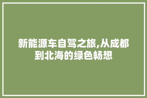 新能源车自驾之旅,从成都到北海的绿色畅想