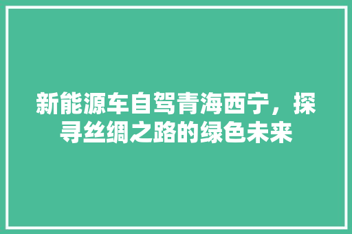 新能源车自驾青海西宁，探寻丝绸之路的绿色未来