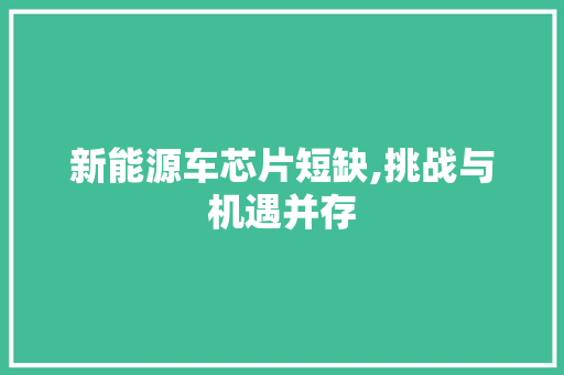 新能源车芯片短缺,挑战与机遇并存